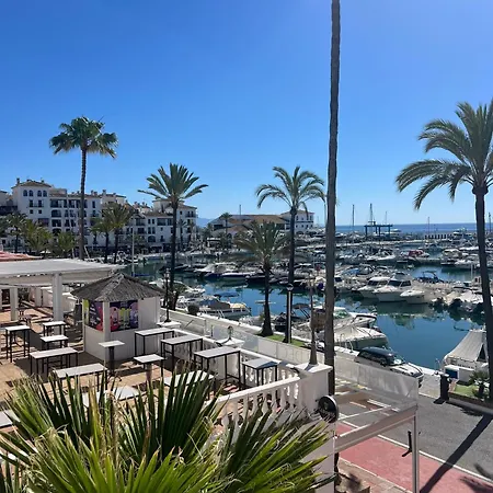 Palm In La Duquesa Manilva