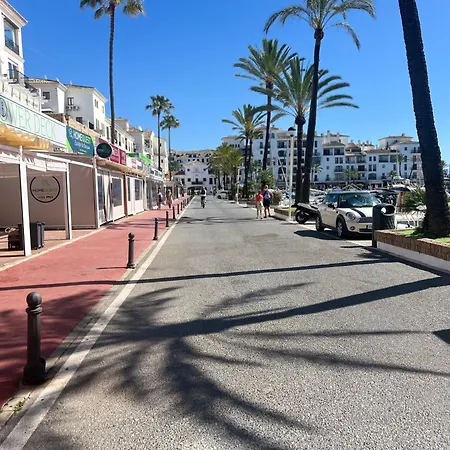 Palm In La Duquesa * Manilva